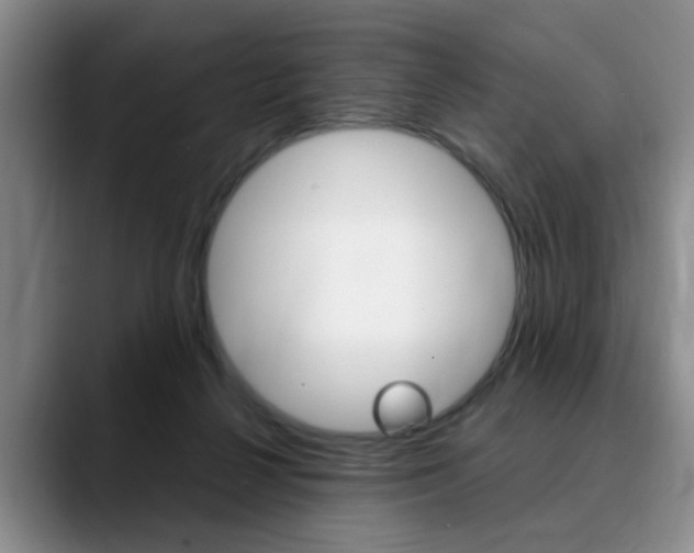X0000090730264200707201000