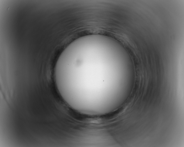 X0000090730266200707201000