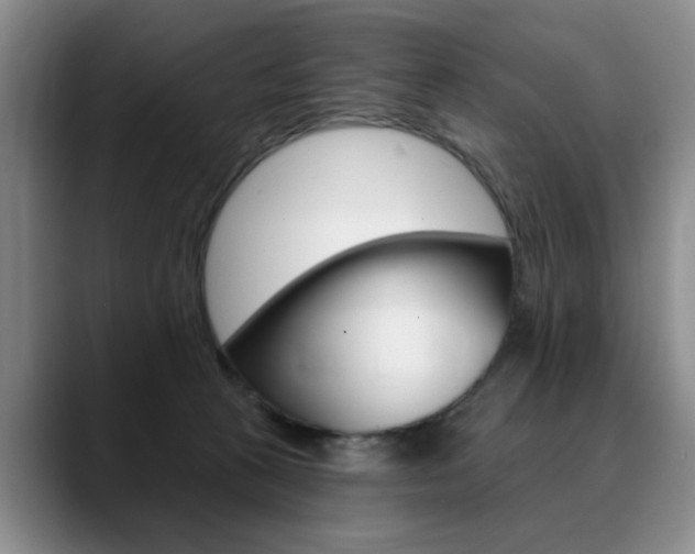 X0000090730273200707201000