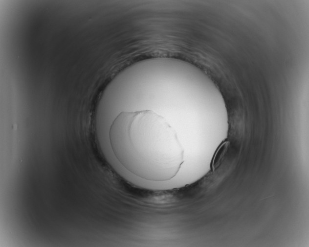 X0000090730278200707201001