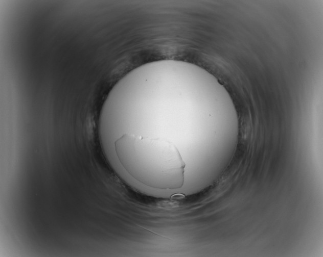 X0000090730279200707201001