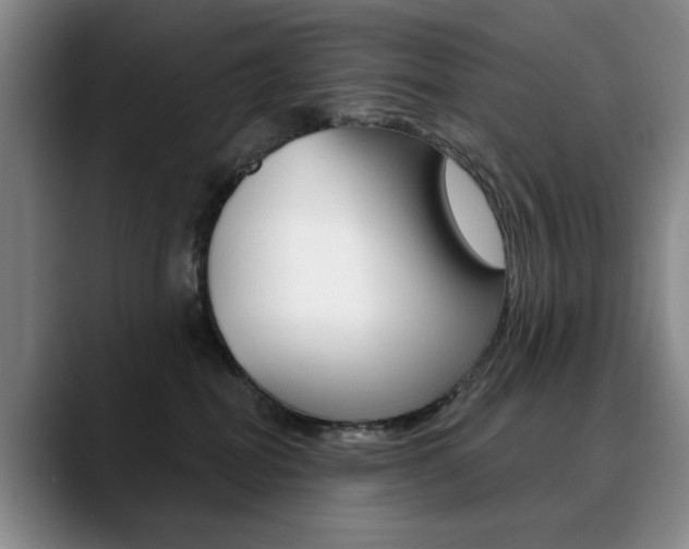 X0000090730282200707201001
