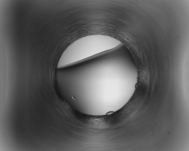 X0000090730283200707201001