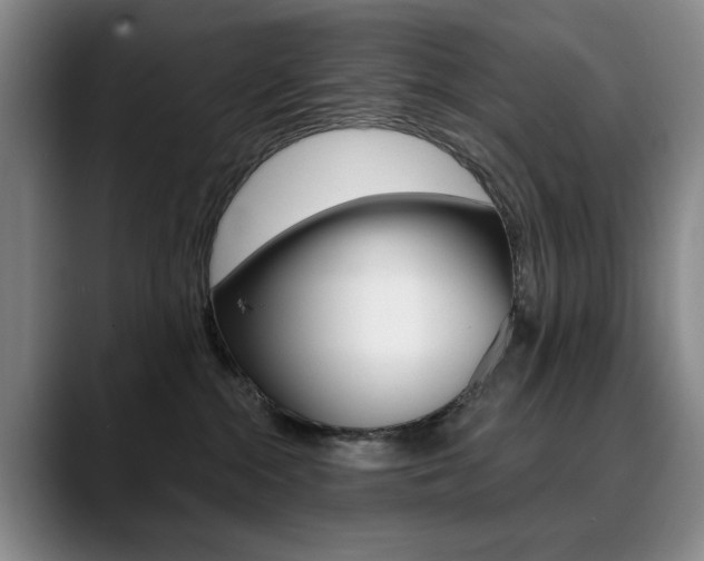 X0000090730284200707201001
