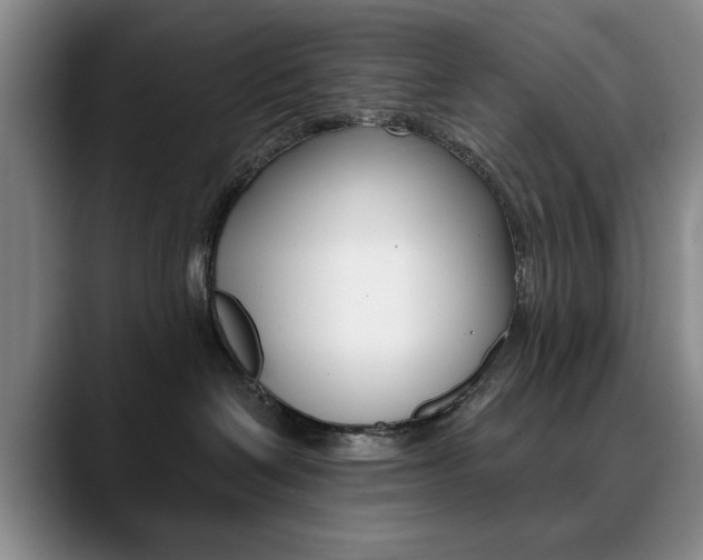 X0000090730286200707201001