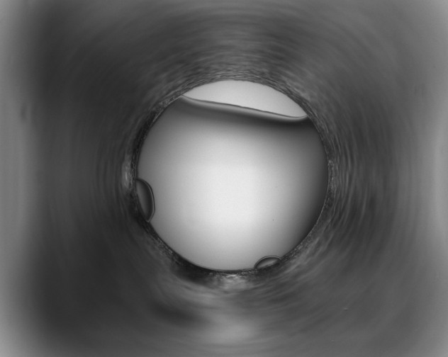 X0000090730287200707201001