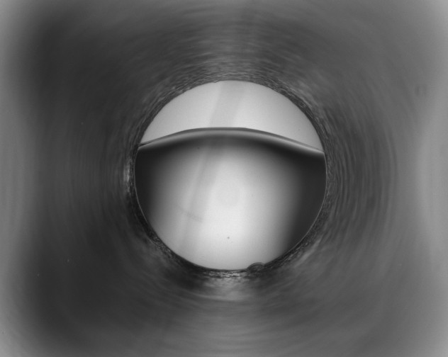 X0000090730288200707201001