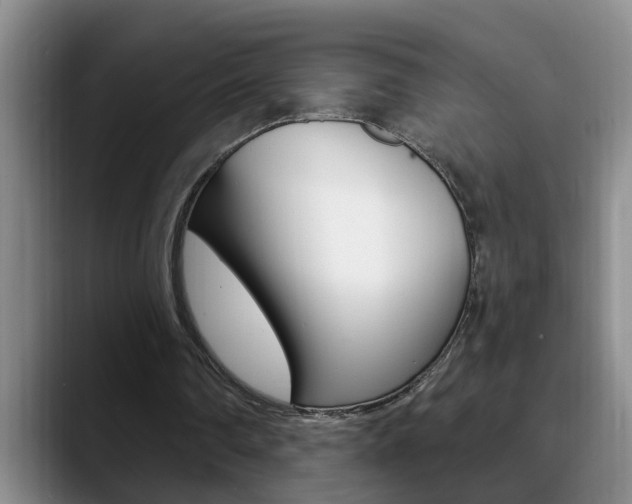 X0000090730290200707201000