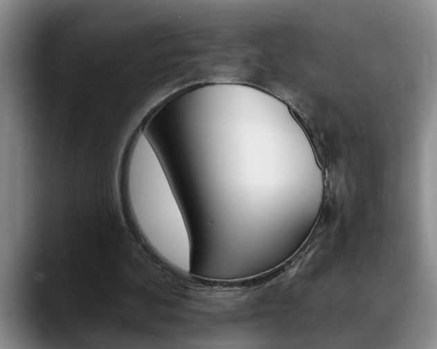 X0000090730292200707201000