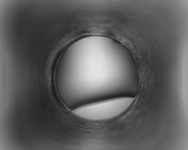 X0000090730295200707201000