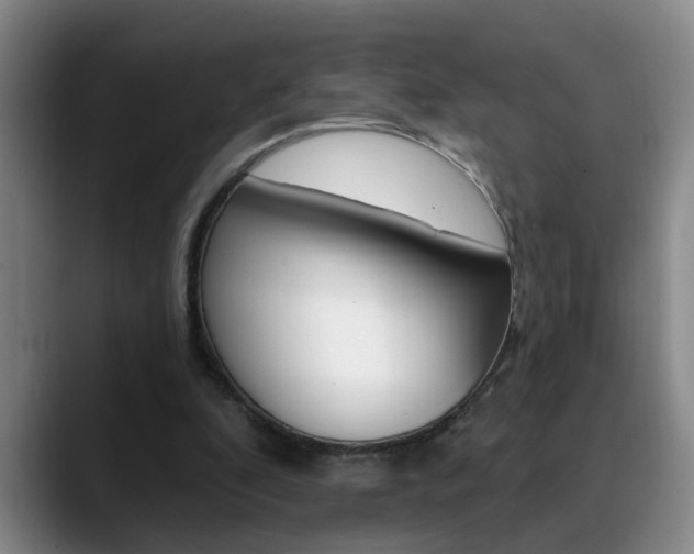 X0000090730296200707201000