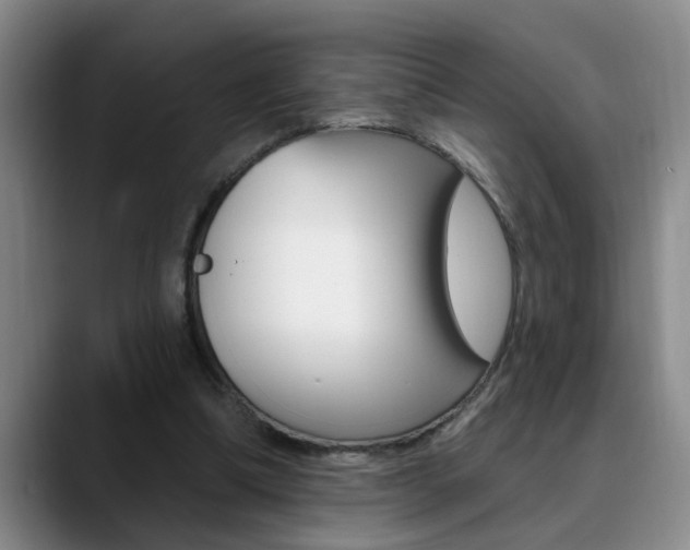 X0000090730298200707201000