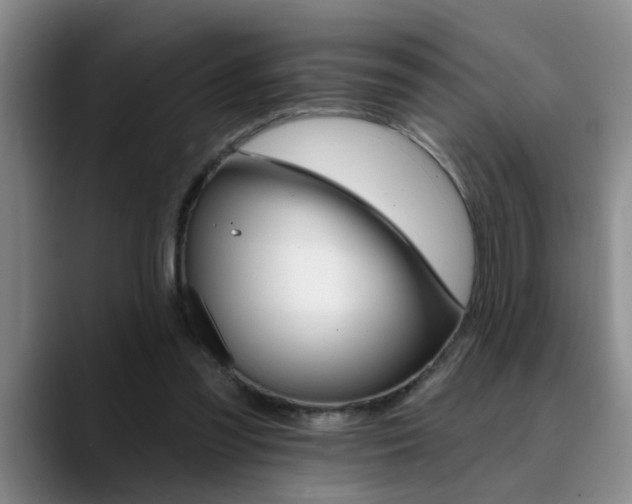 X0000090730301200707201000