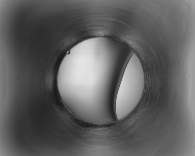 X0000090730304200707201000