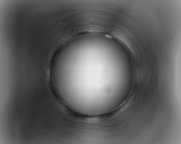 X0000090730309200707201000