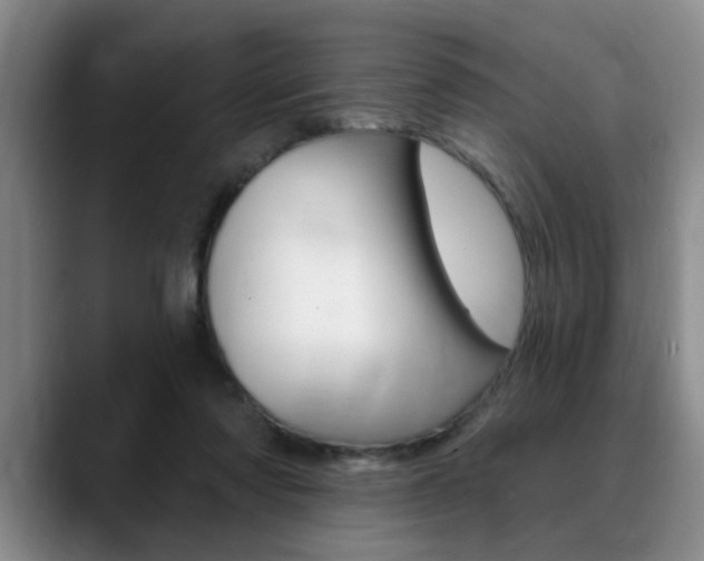 X0000090730310200707201000