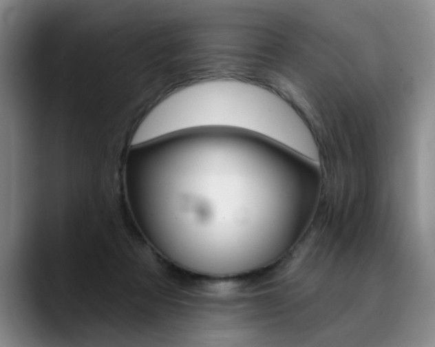 X0000090730313200707201000