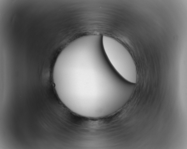 X0000090730314200707201000