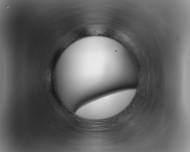 X0000090730315200707201000