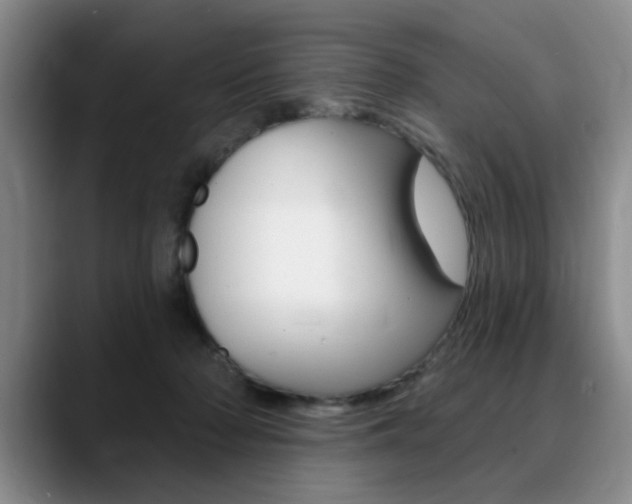 X0000090730318200707201000