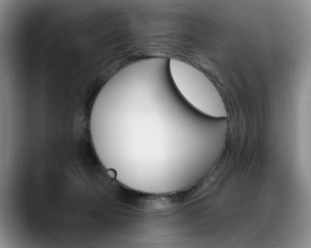 X0000090730322200707201000