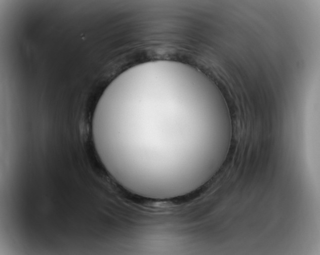 X0000090730324200707201000