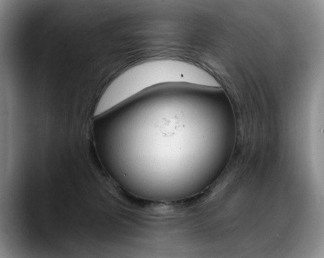 X0000090730325200707201000