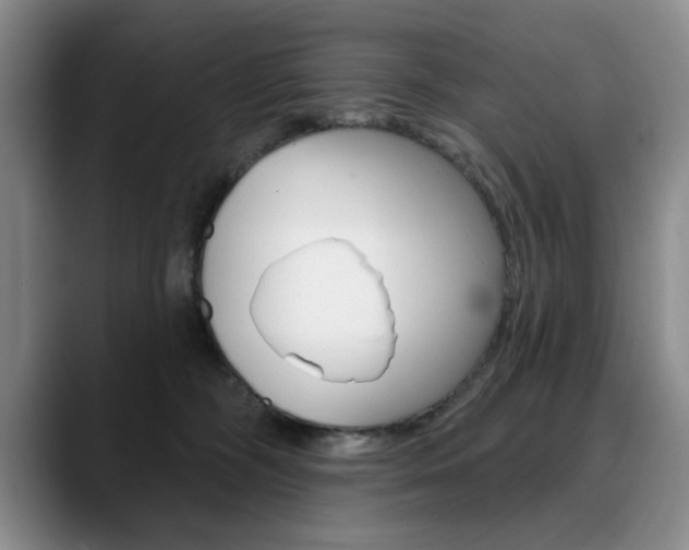 X0000090730326200707201000