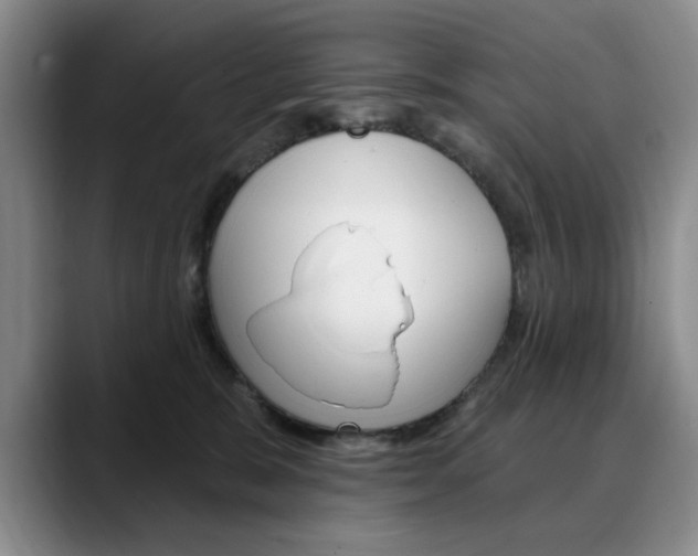 X0000090730327200707201000