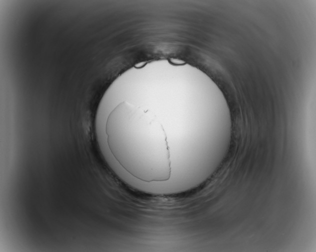 X0000090730328200707201000