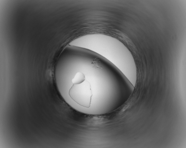 X0000090730329200707201000