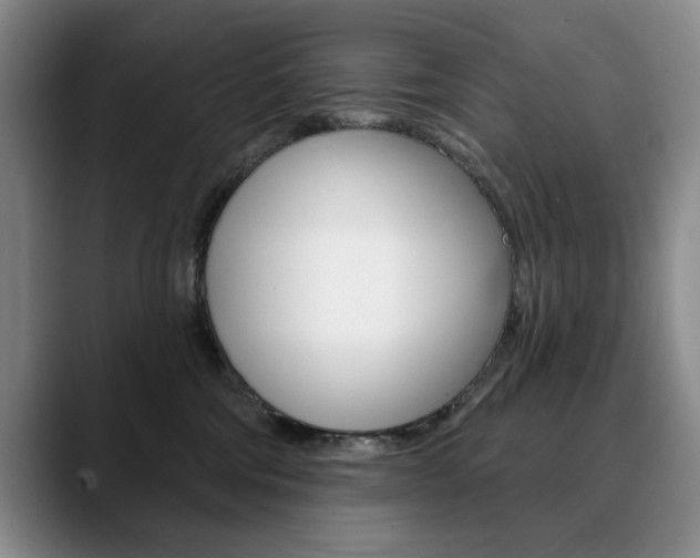 X0000090730330200707201000