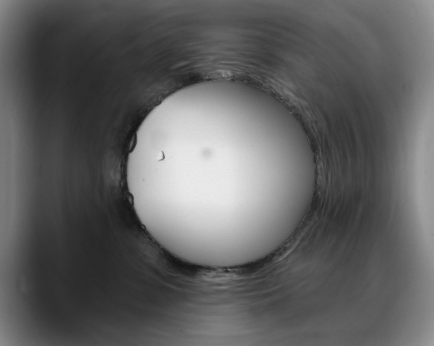 X0000090730331200707201000