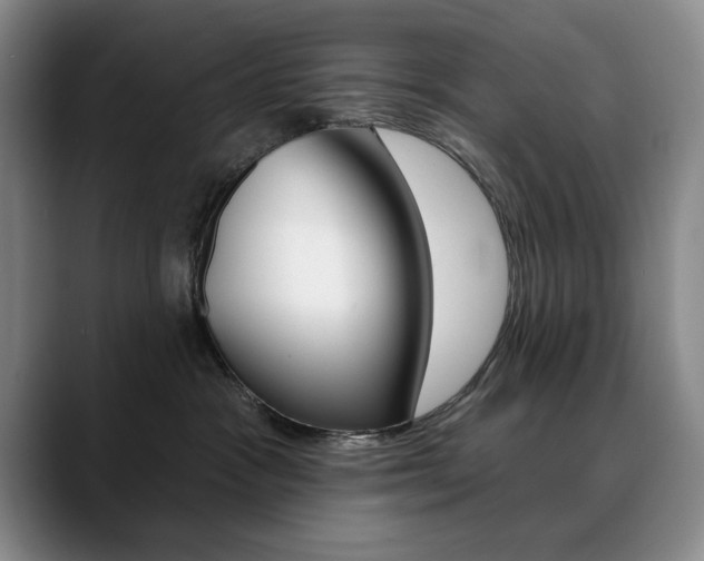 X0000090730333200707201000