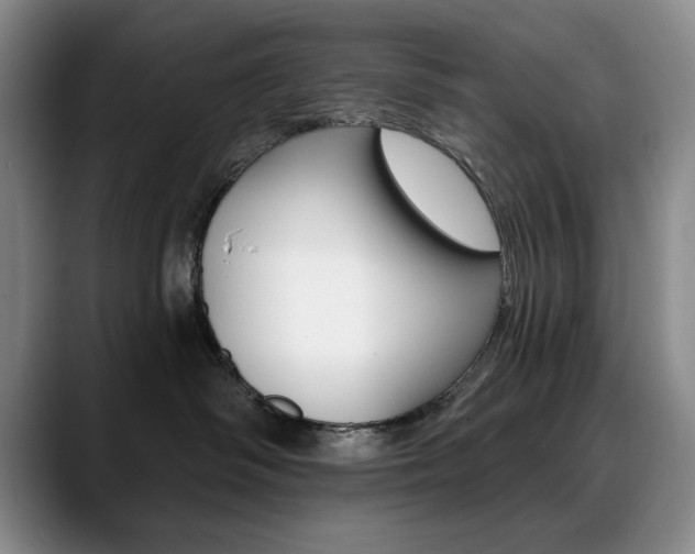 X0000090730334200707201000