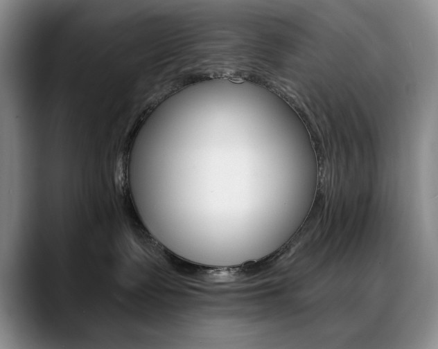 X0000090730335200707201000