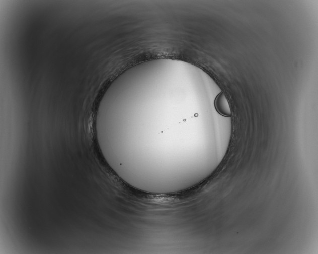 X0000090730336200707201000
