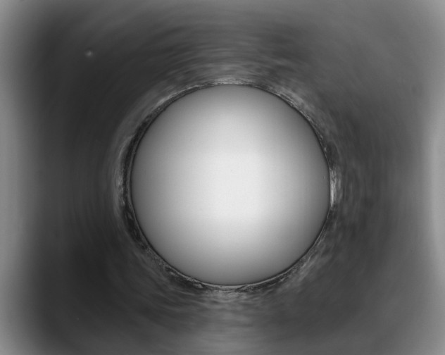 X0000090730339200707200959
