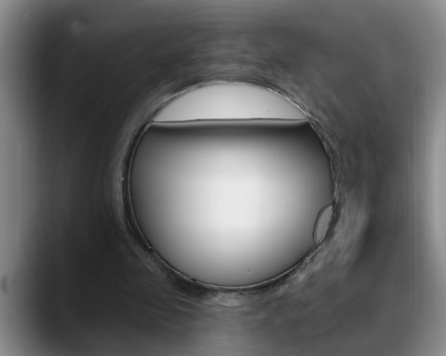 X0000090730341200707200959