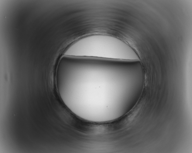 X0000090730349200707200959