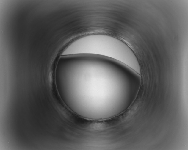 X0000090730350200707200959