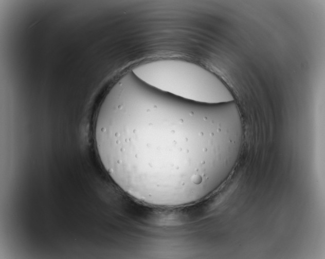 X0000090730351200707200959