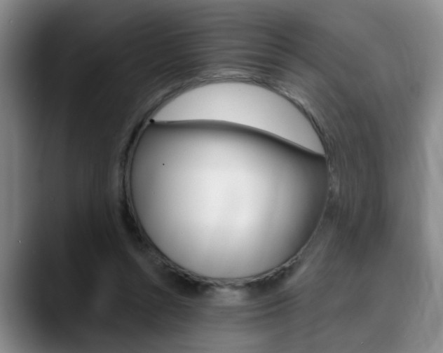X0000090730352200707200959