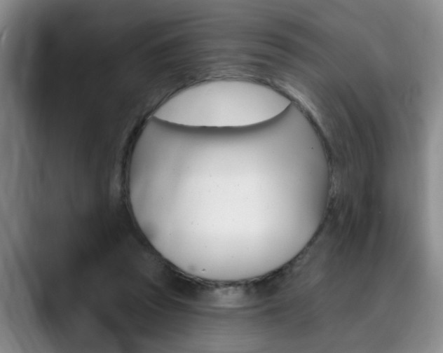 X0000090730353200707200959