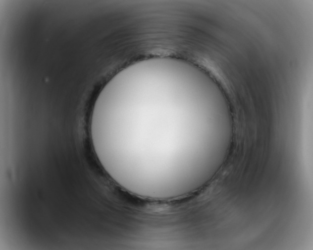 X0000090730354200707200959