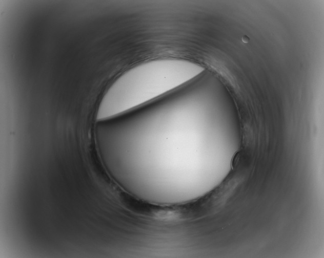 X0000090730358200707200959