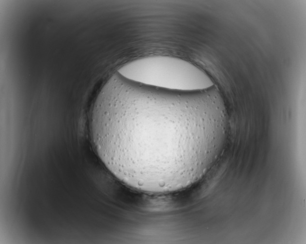 X0000090730359200707200959