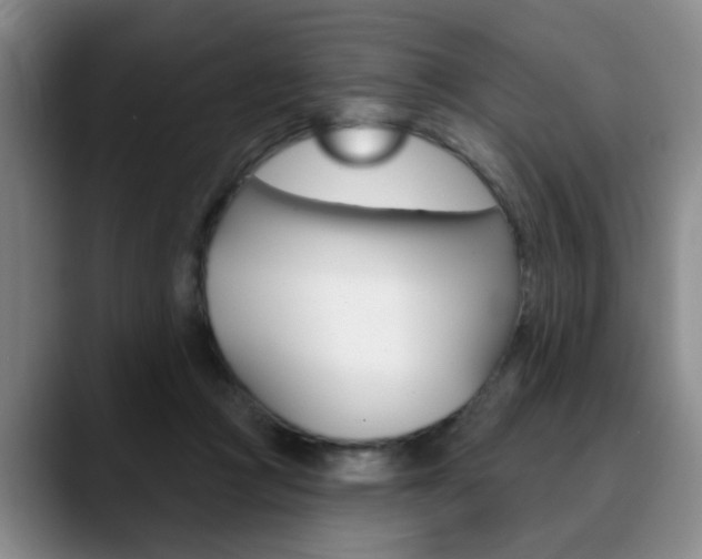 X0000090730361200707200959