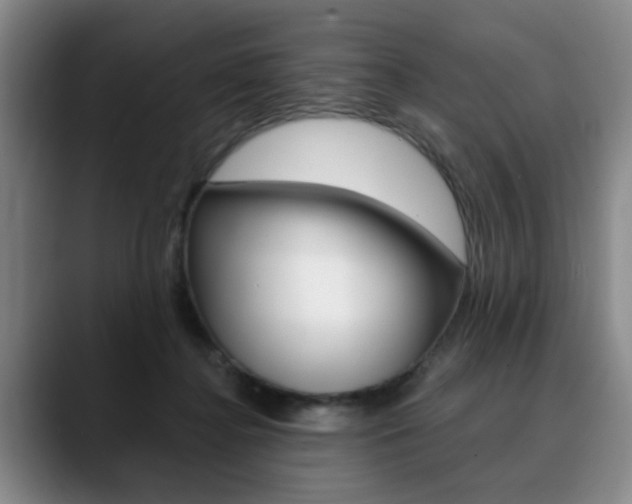 X0000090730364200707200959