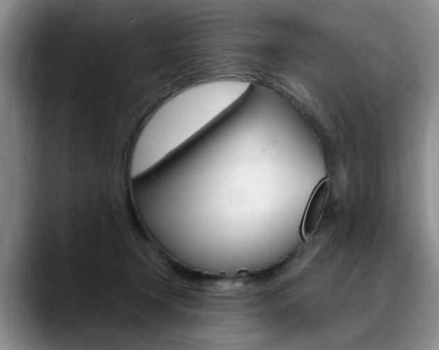 X0000090730366200707200959